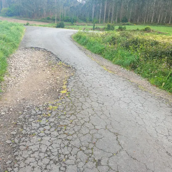 V&iacute;a de acceso ao lugar da Raposa (Mux&iacute;a)