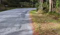 O BNG de Camariñas insiste na "necesidade urxente" de mellorar a seguridade e o trazado da estrada DP-1601