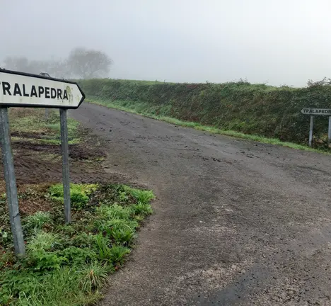 Tralapedra