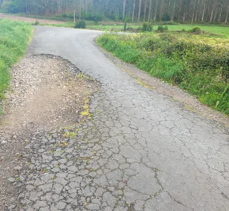 V&iacute;a de acceso ao lugar da Raposa (Mux&iacute;a)